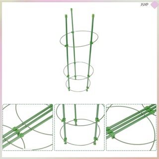 Junshaoyipin.th โครงไม้เลื้อยพลาสติก สําหรับตกแต่งกระถางดอกไม้ ในร่ม 3 ชิ้น