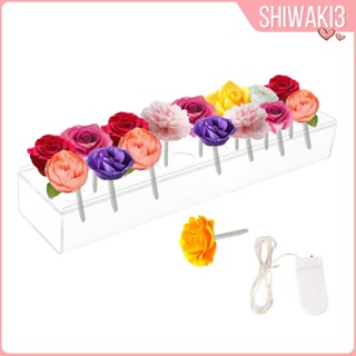 [Shiwaki3] แจกันไฮโดรโปนิก อะคริลิค สําหรับปลูกต้นไม้