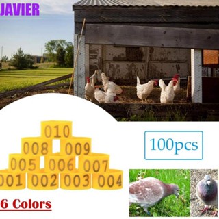 Javier ห่วงพลาสติก 001-100 สําหรับรัดขาไก่ 100 ชิ้น ต่อถุง