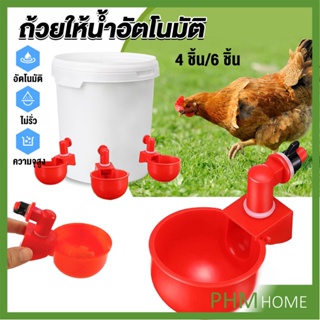 ถ้วยให้น้ำอัตโนมัติ สำหรับไก่ 4 ชิ้น 6 ชิ้น Automatic drinker