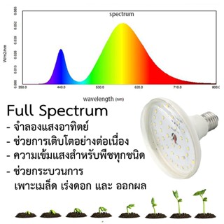 หลอดไฟในบ้าน ไฟปลูกพืชกลางแจ้ง ไม่ง้อแดด LED ปลูกผัก ไฟปลูกต้นไม้กันน้ำ 40 LED IP64 E27 Full Spectrum สำหรับ ตู้ปลา