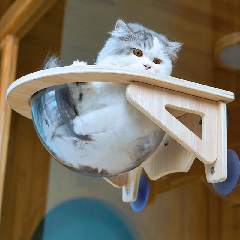 หลุมแมว หลุมอวกาศใส งานไม้มินิมอล ที่นอนนอนแมวติดผนัง พร้อมหลุมใสอะคริลิค รับน้ำหนักได้ 30 Kg