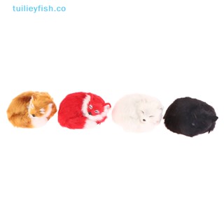 Tuilieyfish โมเดลตุ๊กตาสุนัขจิ้งจอกจําลอง แบบนิ่ม ของขวัญวันเกิด สําหรับเด็กผู้หญิง 1 ชิ้น