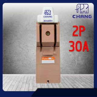 CHANG คัทเอาท์ ช้าง 2P 30A / 60A / 100A 600V พร้อมฟิวส์ในกล่อง