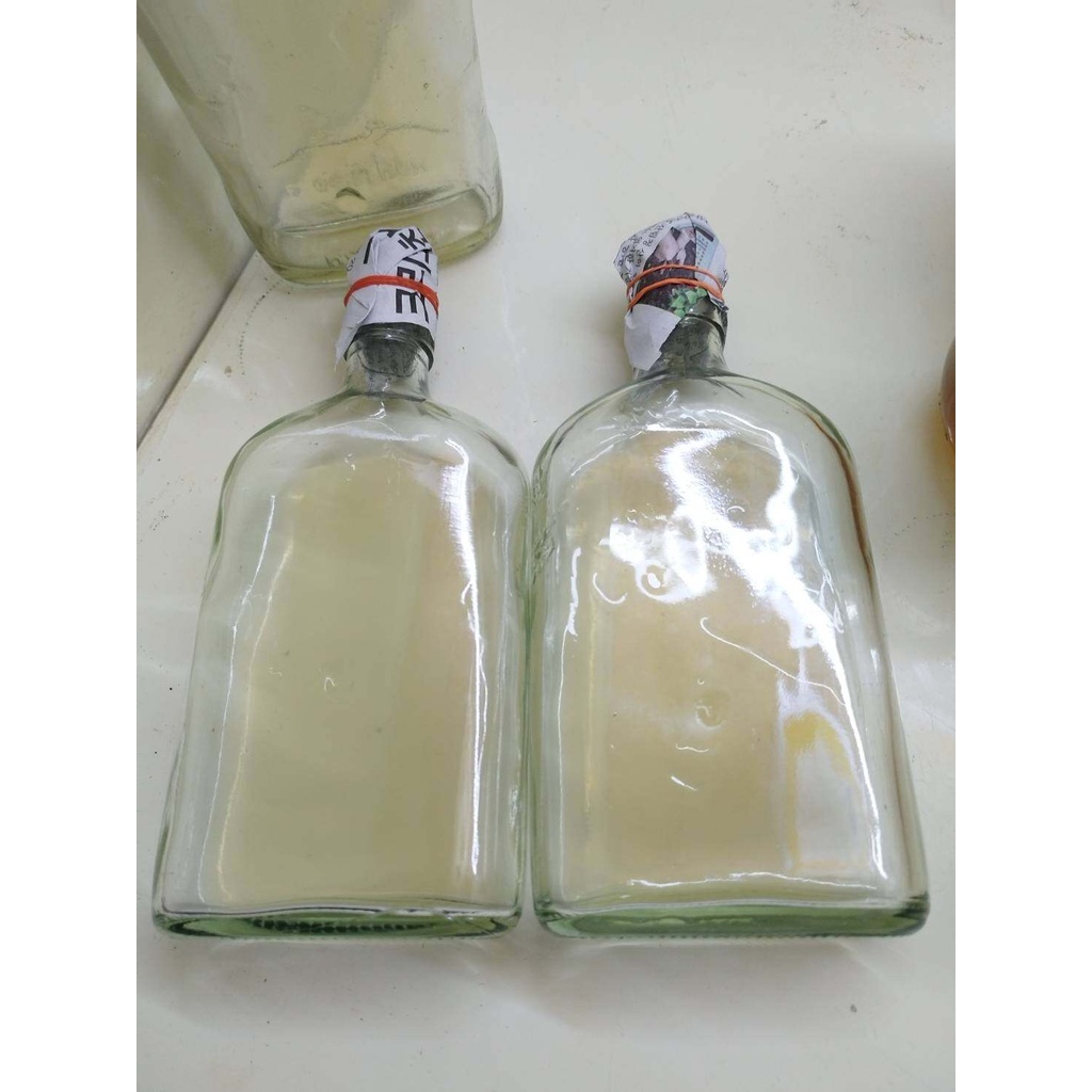 วุ้น PDA (POTATO DEXTROSE AGAR) นึ่งฆ่าเชื้อแล้วพร้อมใช้’ สำหรับเพาะเชื้อเห็ดหรือเชื้อรา #PDA #วุ่น PDA #เชื้อเห็ด ราคา ถูกที่สุด ดีลบีเคเค แกลเลอรีภาพที่ 2