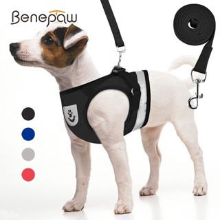 Benepaw สายจูงสะท้อนแสง ขนาดเล็ก กลาง ระบายอากาศ สําหรับสัตว์เลี้ยง สุนัขชิวาวา