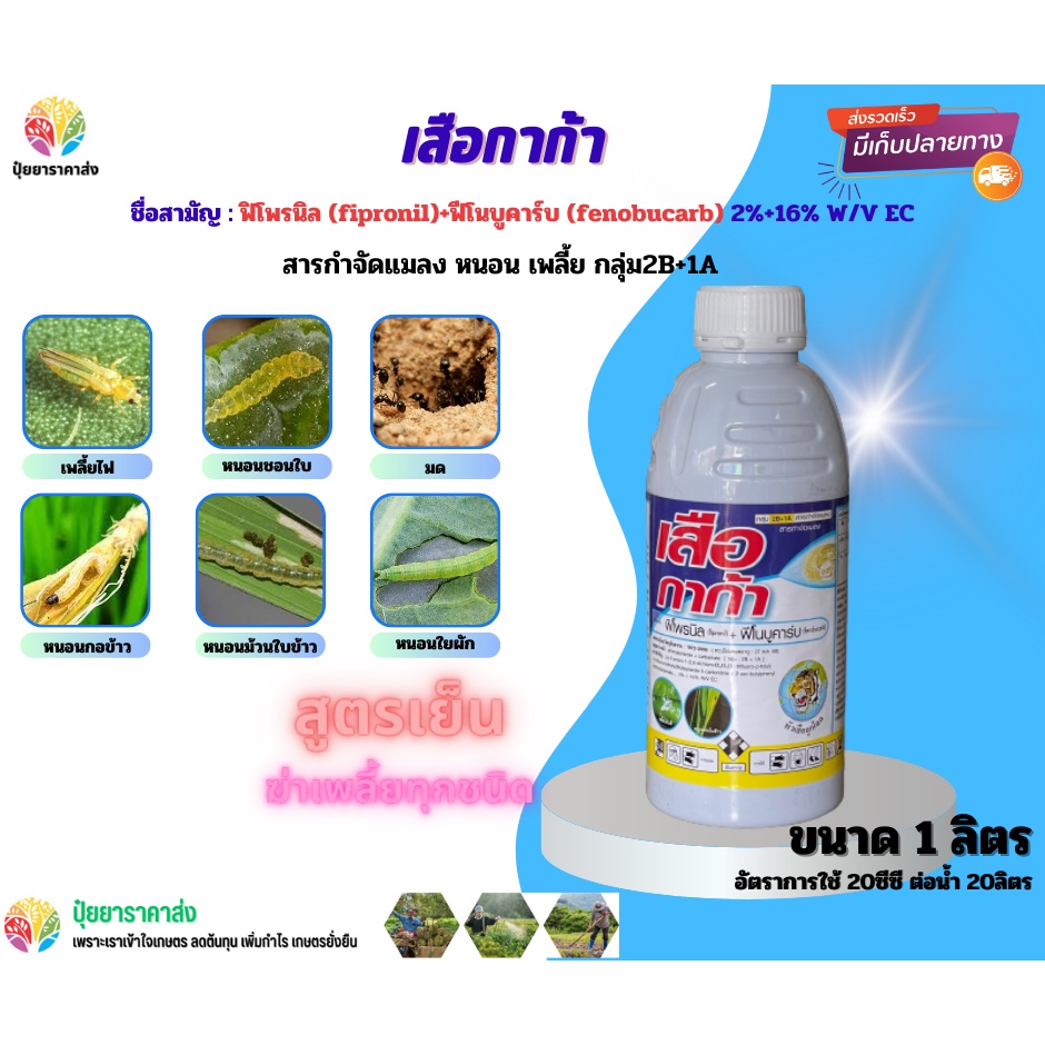 ฟิโพรนิล+ฟีโนบูคาร์บ เสือกาก้า 1ลิตร กลุ่ม2B+1A สูตรเย็น ฆ่าเพลี้ยทุกชนิด เพลี้ยไฟ หนอนชอนใบ หนอนกอข้าว หนอนม้วนใบข้าว
