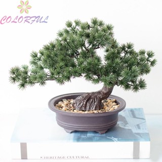 【COLORFUL】Artificial Pot Plant Pine Tree Plastic Artificial Plants Home Decoration