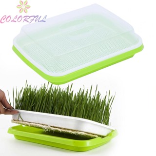 【COLORFUL】Nursery Pot Bean Sprout Sprouter Hydroponics Planting Nursery Tray Plastic