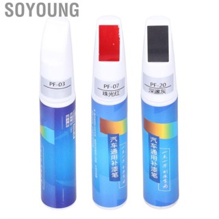 Soyoung Paint  Pen   Rust Touch Up 12ml Acrylic Resin for Car Maintenance