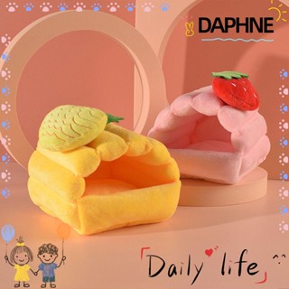 Daphne บ้านหนูแฮมสเตอร์ รังหนูตะเภาน่ารัก ใส่สบาย เหมาะกับฤดูหนาว