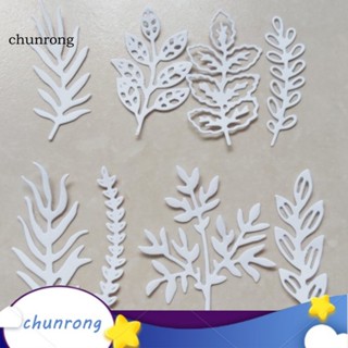 Chunrong แม่พิมพ์ตัดเหล็กคาร์บอน ทนต่อการกัดกร่อน สําหรับห้องครัว