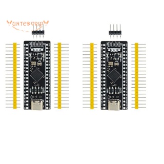 บอร์ดทดลอง STM32F401 STM32F401CCU6 V3.0 STM32F4 2 ชิ้น