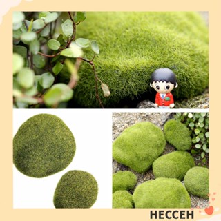 Hecceh หินมอส บอนไซจําลอง สําหรับตกแต่งสวน DIY