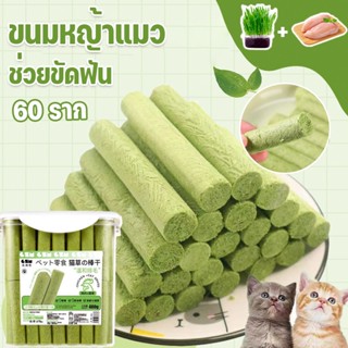 พร้อมส่ง🌿ขนมหญ้าแมว 60 ราก ช่วยขัดฟัน เพื่อกำจัดก้อนขน ผลิตจากต้นอ่อนข้าวสาลี100%