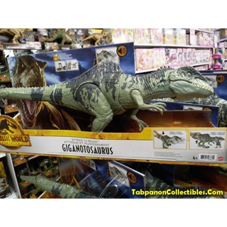 [2022.07] Mattel Jurassic World Dominion Strike N Roar Giganotosaurus Dinosaur Action Figure