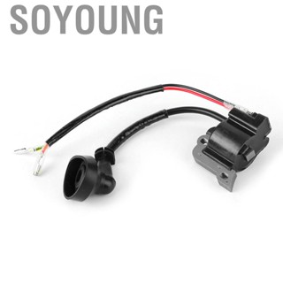 Soyoung Engine Ignition Coil 2-Prong Replacement Fit for G23LH CY23ZR Goped Sports 23CC