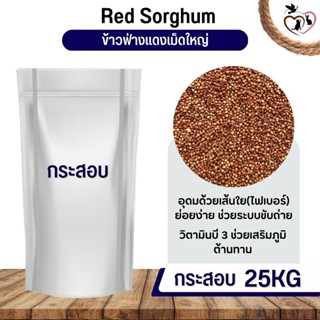 ฟ่างแดงเม็ดใหญ่ Red Dari อาหารนก กระต่าย หนู กระต่าย กระรอก ชูก้า และสัตว์ฟันแทะ (กระสอบ 25KG)