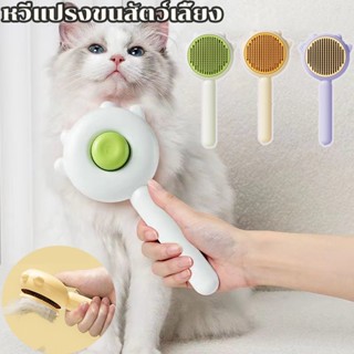 พร้อมส่ง🐱🐱แปรงขนแมว มีปุ่มดันขนออก