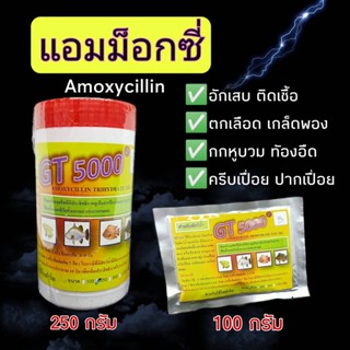 แผลอักเสบ กกหูบวบ ลอยตัว รักษาปลา กบ กุ้ง (แอมม็อกซี่ Amoxycillin)  หัวตั้ง เกล็ดพอง ครีบกร่อน ท้องบวม เหงือกเน่า