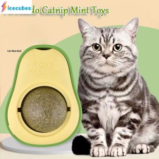 อะโวคาโด Catnip ของเล่นธรรมชาติสำหรับแมว ICECUBE