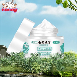 cocoy ครีมทาฝ้าสมุนไพรญี่ปุ่นยูนนาน Pekas Remover ที่มีประสิทธิภาพ Anti Freckle Collagen Original Skin Whitening Moisturizer Aging Deeply Activate Wrinkles Fade Spot