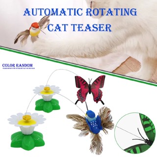 Funny Rotating Electric Flying Bird Interactive Toy Cat Bird Toy Pet Supplies