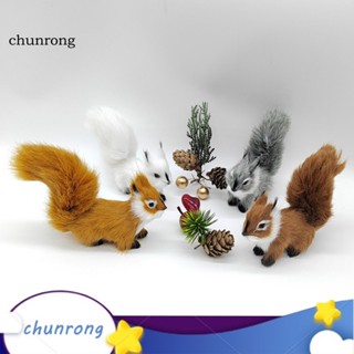 Chunrong ฟิกเกอร์กระรอกจิ๋ว ของขวัญวันเกิด สําหรับตกแต่ง