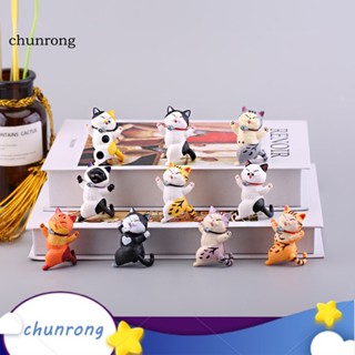 Chunrong โมเดลตุ๊กตาลูกแมวน่ารัก 10 ชิ้น สําหรับตกแต่งในร่ม