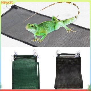 {Newcat} เปลญวน รูปมังกร พร้อมถ้วยดูด 4 ชิ้น ระบายอากาศ สําหรับเตียงสัตว์ขนาดเล็ก 1 ชุด