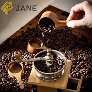 Jane ช้อนตักเมล็ดกาแฟ ทําจากไม้อะคาเซีย แฮนด์เมด 6 ชิ้น