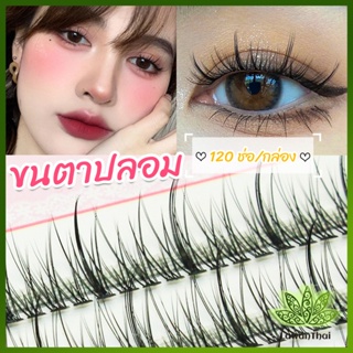 Lawan ขนตาปลอม ขนตาปลอมแต่งหน้ามืออาชีพ 120 ช่อ ช่อคนตาเทรนสาวเวียดนาม  Little devil false eyelashes