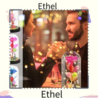 Ethel1 โคมไฟ ลายดอกไม้ สวยงาม โรแมนติก