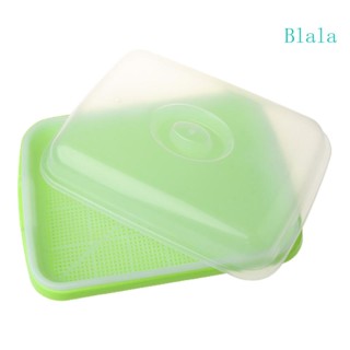 ถาดเพาะเมล็ด Blala ปลอด BPA PP ปลอดดิน ขนาดใหญ่ จุได้เยอะ เพื่อสุขภาพ พร้อมฝาปิด สําหรับปลูกพืชงอก