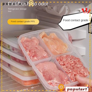 Popular กล่องเก็บอาหาร ผัก ผลไม้ 4 ช่อง สําหรับตู้เย็น