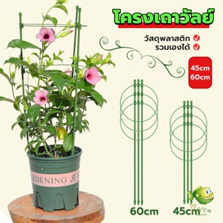 YOYO โครงเถาวัลย์ เสามะเขือเทศ โครงปลูก อุปกรณ์สำหรับพืชไม้เลื้อย 45cm 60cm plant trellis