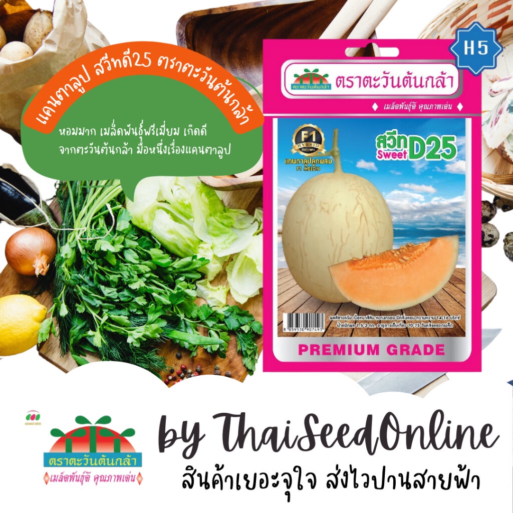 Advance Seeds(ตราตะวันต้นกล้า) ADVF1 ซฟ เมล็ดพันธุ์ แคนตาลูป สวีทดี25 ตราตะวันต้นกล้า H5