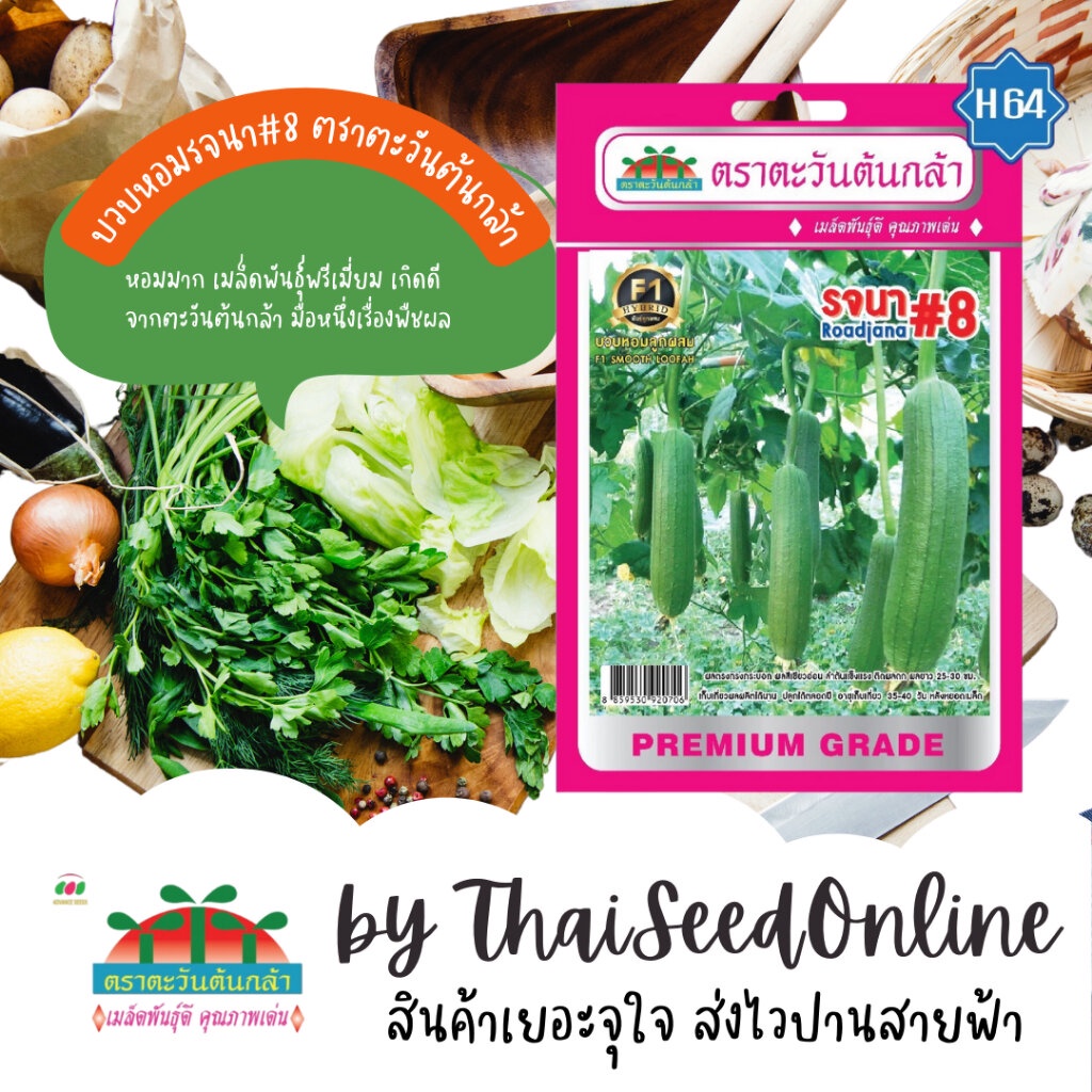 ADVF1 ซฟ เมล็ดพันธุ์ บวบหอมรจนา#8 ตราตะวันต้นกล้า H64