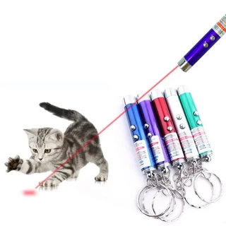 2-in-1 Mini Pet Fun ปากกาเลเซอร์ของเล่น Mini Red LED แบบพกพา Cat Wand