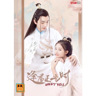 หนัง DVD ออก ใหม่ Meet You (2021) เจ้าสาวสวมรอย (12 ตอนจบ) (เสียง ไทย | ซับ ไม่มี) DVD ดีวีดี หนังใหม่