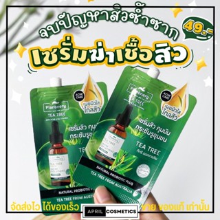 [กล่อง x 6 ซอง] เซรั่มทีทรี แพลนท์เนอรี่ ลดสิว คุมมัน บอกลาปัญหาสิว Plantnery Tea Tree Probiotic Intense Serum 7 ml