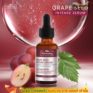 ลดฝ้า ลดจริง สารสกัดเมล็ดองุ่น Plantnery Grape Seed Serum 30ml เซรั่มลด ฝ้า กระ เข้มข้นจากเมล็ดองุ่น