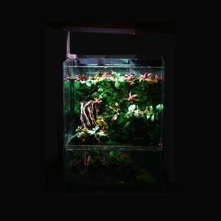 KIN Paludarium 30x30x40 cm ตู้อะคริลิค พารูดาเรียม สำหรับทำตู้ครึ่งบกครึ่งน้ำ