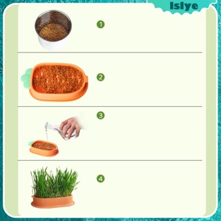 [Lslye] กล่องถาดเพาะเมล็ดถั่วงอก ข้าวสาลี พร้อมช่องระบายน้ํา