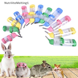 [NutriliteMelting1] ขวดน้ําพลาสติก สําหรับหนูแฮมสเตอร์ กระต่าย 1 ชิ้น [TH]