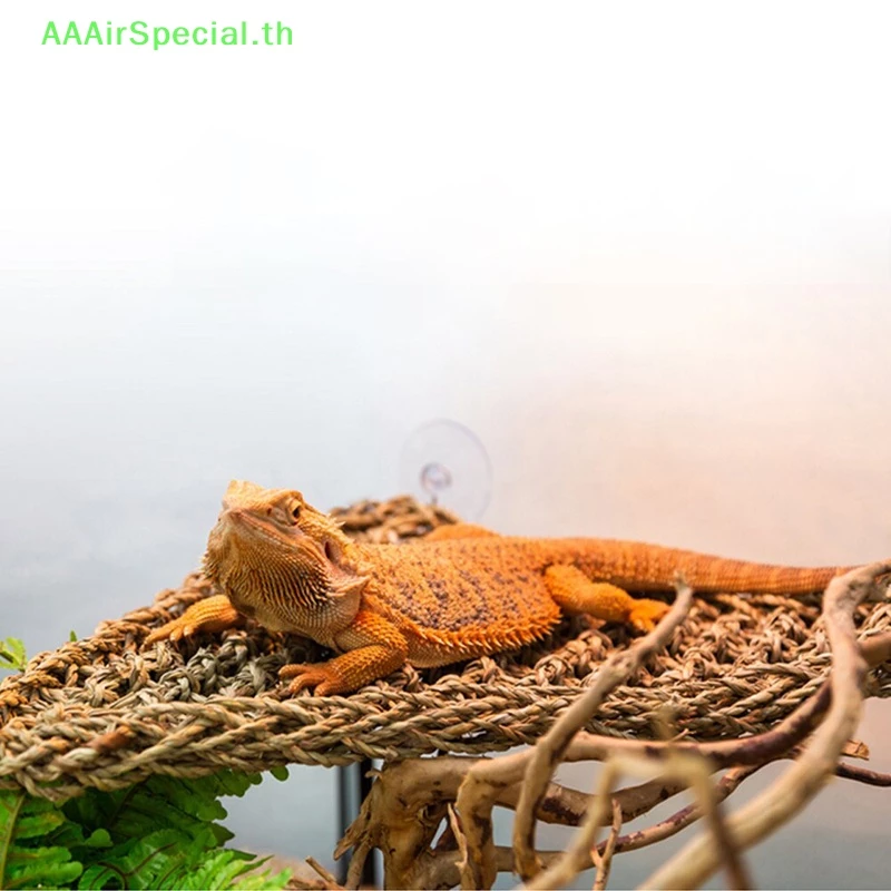 Aaairspecial เตียงขนาดเล็กสําหรับสัตว์เลื้อยคลาน ตุ๊กแก ปู ตุ๊กแก TH