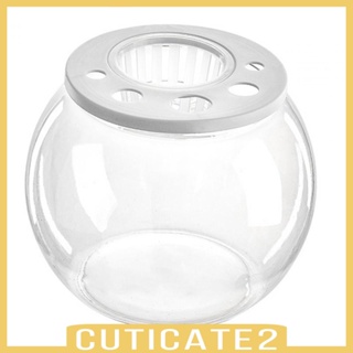 [Cuticate2] ชามปลา แบบรูกลวง DIY สําหรับตู้ปลา หอพัก ห้องนอน คาเฟ่ ร้านอาหาร