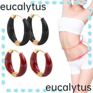 Eucalytus1 ต่างหูแม่เหล็ก อัลลอย อัลลอย แฟชั่น สําหรับผู้หญิง 2 คู่