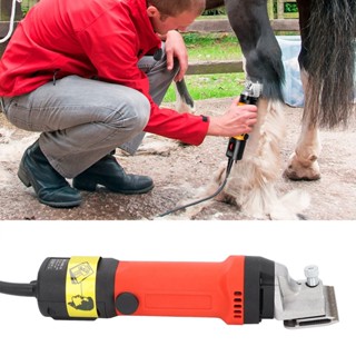 Industrial Shop ปัตตาเลี่ยนตัดผมม้าไฟฟ้า 6900W กำลังไฟ 6 ระดับ ปรับความเร็วได้ Electric Sheep Shear Professional Animal Grooming Kit