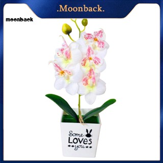 &lt;moonback&gt; กล้วยไม้ประดิษฐ์ ผีเสื้อ บอนไซ ดอกไม้ปลอม พร้อมกระถาง ตกแต่งบ้าน เฟอร์นิเจอร์